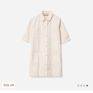 Everlane The Chore Mini Dress